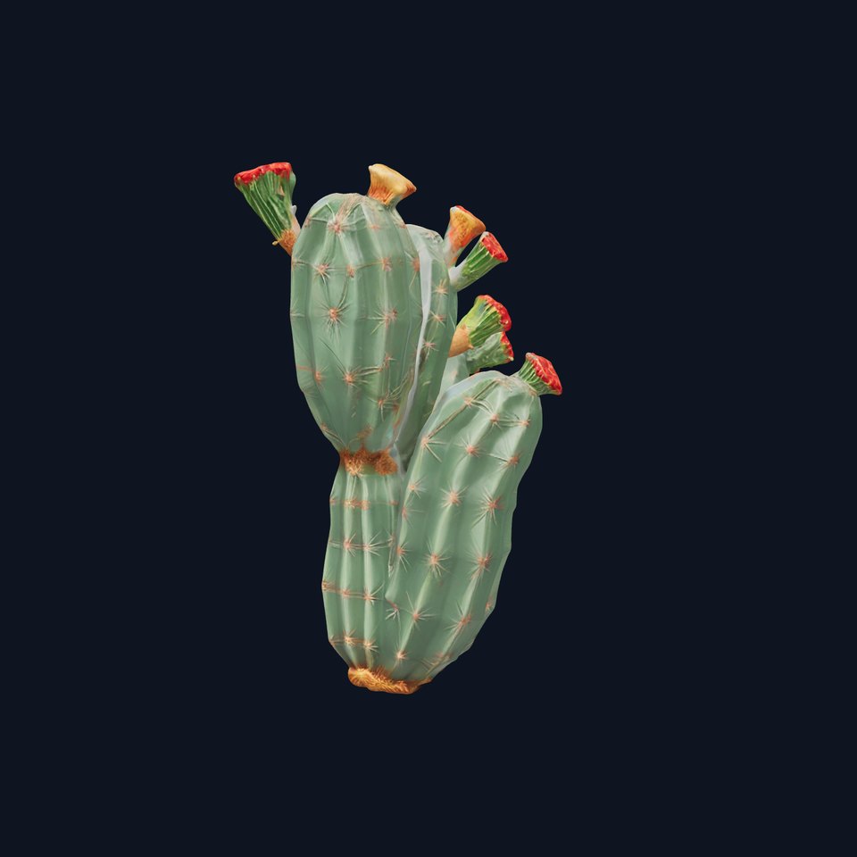 Cactus Blossom model pack